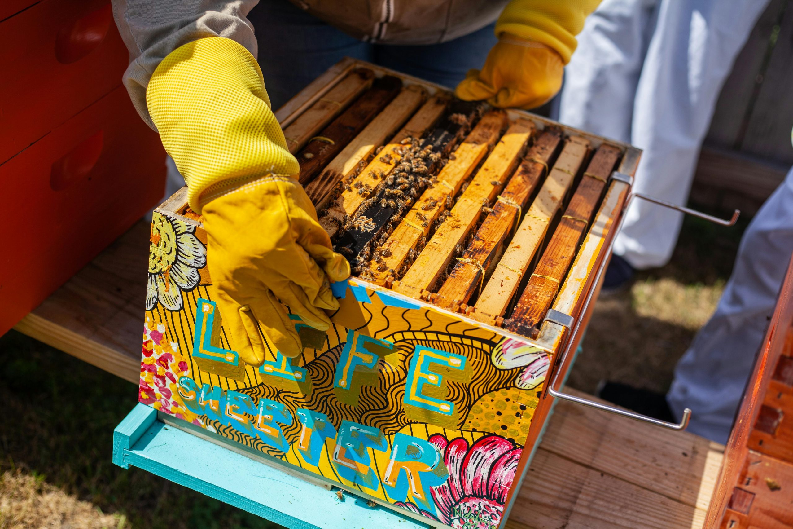 A vibrant urban beekeeping setup in Detroit showcasing a colorful hive box and bees.